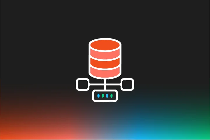 Database Management Systems (DBMS)